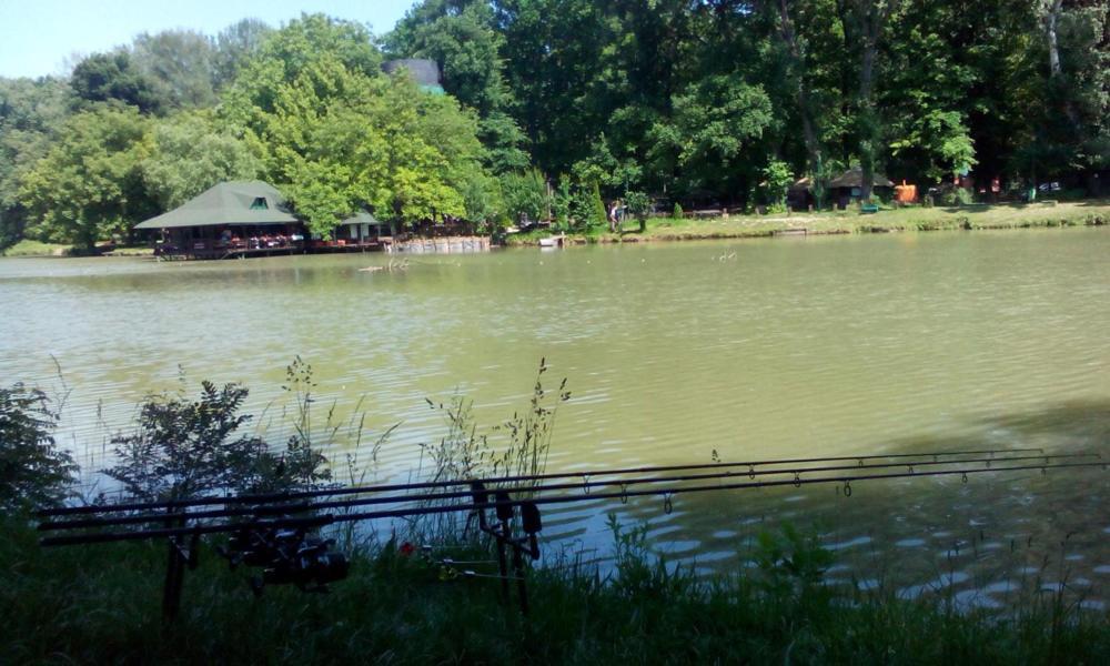 Monia Dream Apartment - Belgrade Lake & Fair Ngoại thất bức ảnh