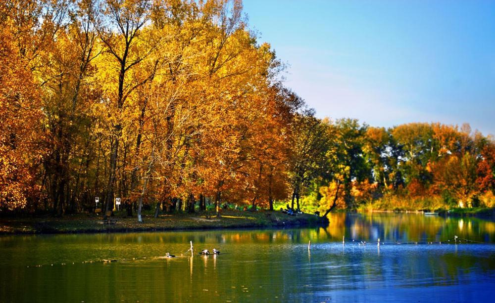 Monia Dream Apartment - Belgrade Lake & Fair Ngoại thất bức ảnh